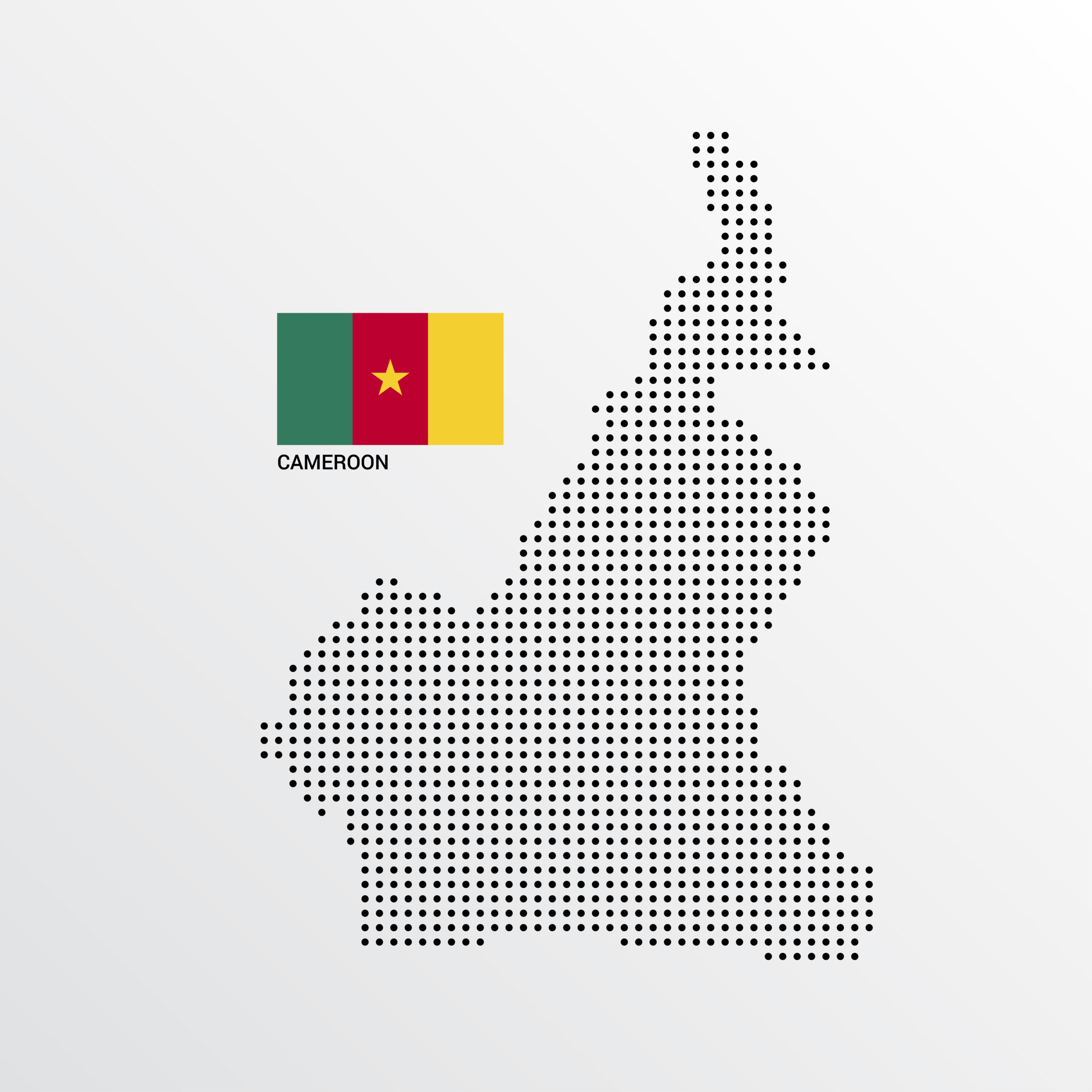 cameroon map design with flag and light background vector